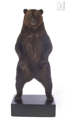une statue représentant un ours debout sur ses pattes arrière