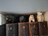 a lot of books on the shelf with some animals on them