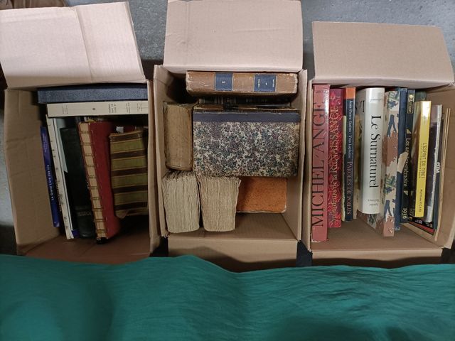 3 cartons de livres : littérature et illustrés (arts et voyages) 