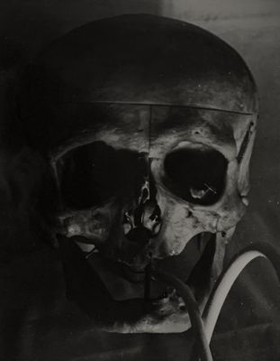 photographie en noir et blanc d'un crâne avec une pipe dans la bouche