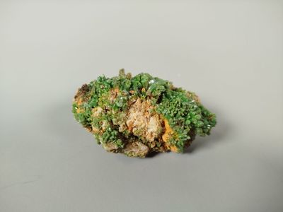 a small piece of broccoli on a white surface