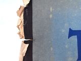 a picture of a blue and black book with the letter t on it