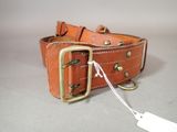 brown leather dog collar with brass buckles and brass hardware