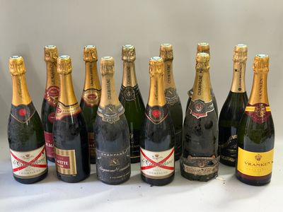 12 bouteilles Champagne divers Vieux