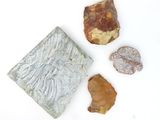 trois types de roches différents et une roche posée sur une surface blanche