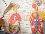a person sitting on the floor reading a map of the human body