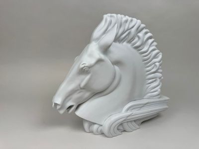 une tête de cheval blanc à la longue crinière sur fond gris
