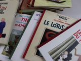 Photo 2/3 du lot