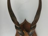 tête d'antilope empaillée fixée sur une plaque en bois accrochée au mur