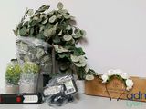 a plant that is sitting on a table next to a box of flowers