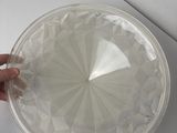 a person that is holding a paper plate in their hand