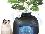 une photo d'un chat assis à côté d'une plante en pot