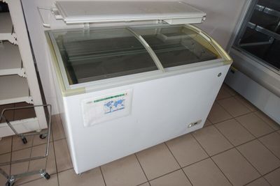 Conservateur à Glaces LMC Eurocold BALI 305 — Modèle Bombé Blanc