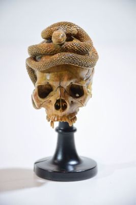 une image représentant un crâne surmonté d'un serpent