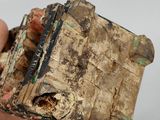 a person holding a small piece of wood in their hand