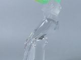un oiseau en verre transparent avec une crête verte sur la tête