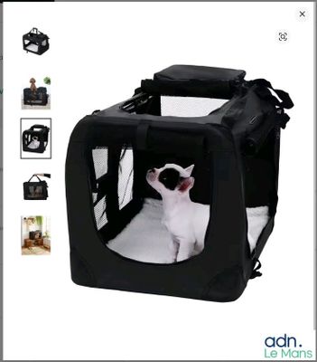 un petit chien assis dans une petite cage de transport