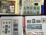 a lot of stamps on the pages of a binder