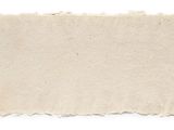 a piece of paper with torn edges on a white background