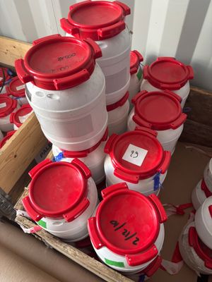 de nombreux récipients en plastique rouges et blancs dans une boîte