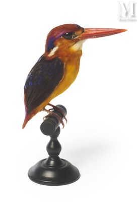 a bird that is sitting on top of a black pole