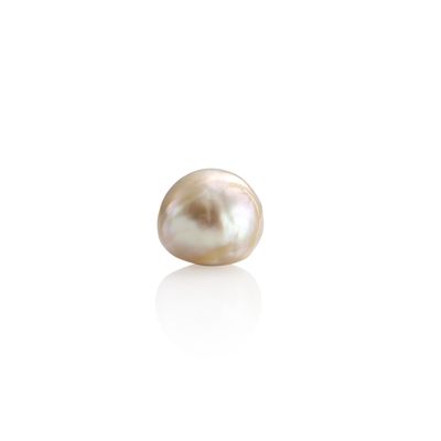 a white pearl on a white background