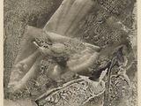 a black and white photo of a bird sitting on a pillow
