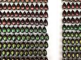 two rows of green and purple beetles on the wall