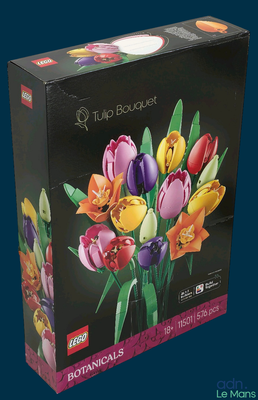 des tulipes aux couleurs vives dans un vase en verre, présentées dans une boîte noire