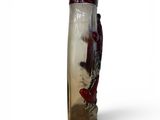 a glass vase with a red fish inside of it