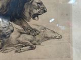 a drawing of a lion and a dog laying on the ground
