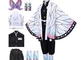 une photo d'un costume et d'accessoires pour femme