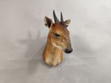 a fake deer head with horns on a white background