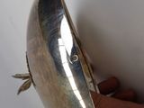 a person holding a silver object in their hand