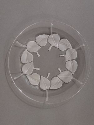 a glass plate with a wreath of leaves on it