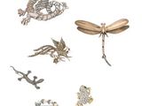 Plusieurs types de broches sont exposés sur un fond blanc.