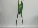 a sculpture of a frog that is standing on its hind legs