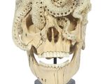 an image of a close up of a skull on a pedestal