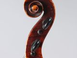 a close up of the back of a violin