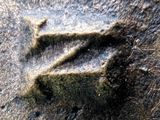 a close up picture of a dog ' s paw imprint in the sand