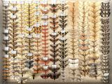 many different types of moths on display in a display case