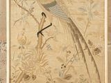 a picture of a picture of a bird on a wall