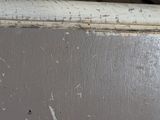 a close up of a piece of wood that has been stripped off