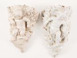 pair of white ceramic angel wall sconces on a white background