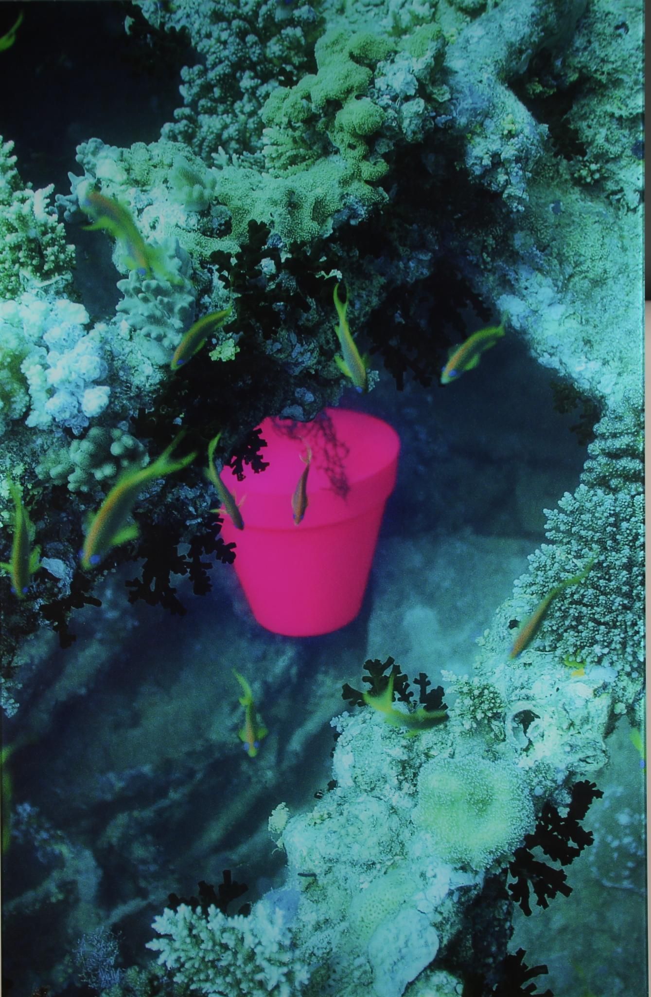 Philippe CHARVEY (XX - XXIème s) Pink pot - Red Sea 1998 Photographie sur dibon, titrée, signée et datée 1998 au dos....