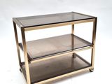 a metal and glass coffee table with two shelves on casteors