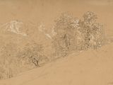 dessin représentant un paysage avec des arbres et des montagnes en arrière-plan