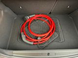a red hose in the trunk of a car