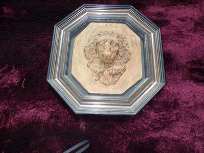 a picture of a picture of a lion in a frame