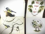 trois cartes représentant des oiseaux et des fleurs, posées sur une table